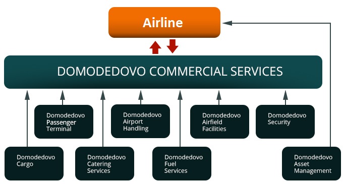Схема сервис. Структура аэропорта Домодедово. Организационная структура Домодедово. Организационная структура аэропорта. Аэропорт Домодедово структура компании.